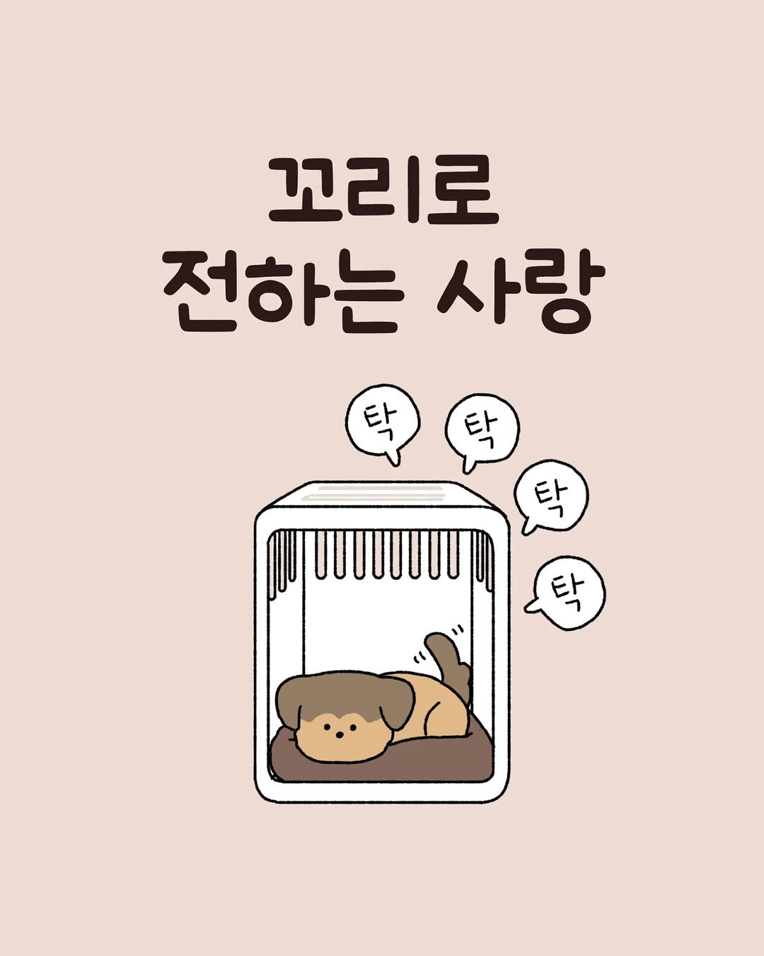 Photo by 육아툰 일상툰 ❤︎ Limbbo 림뽀 on August 08, 2025. May be a doodle of Norwich terrier and text that says '꼬리로 전하는 사랑 탁 타 탄 탄'.