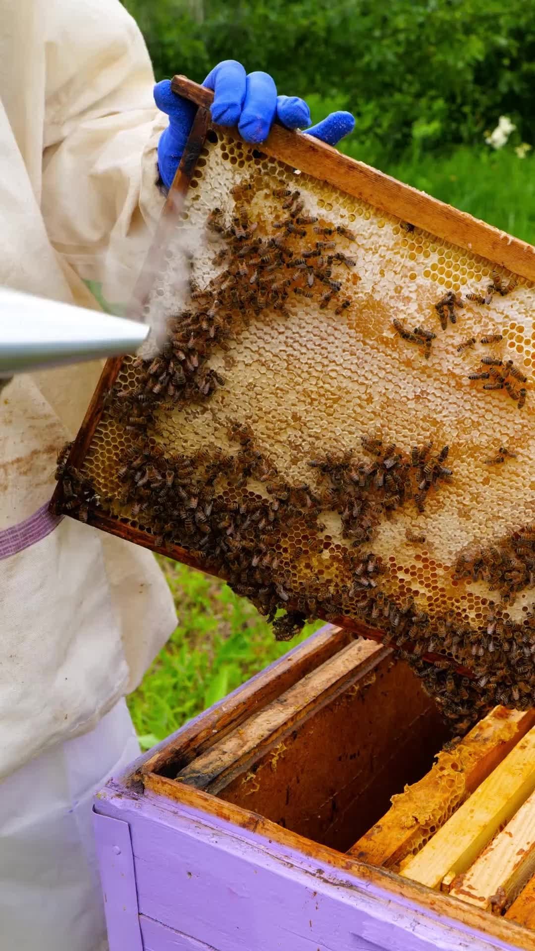 5.min.crafts 게시물 이미지: Easy DIY bee house for buzzing friends and...