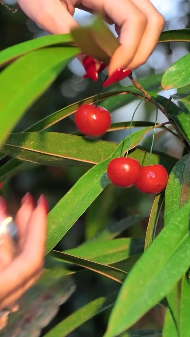 5.min.green 게시물 이미지: Grow strong, stay safe 🌿

#gardeningtips...