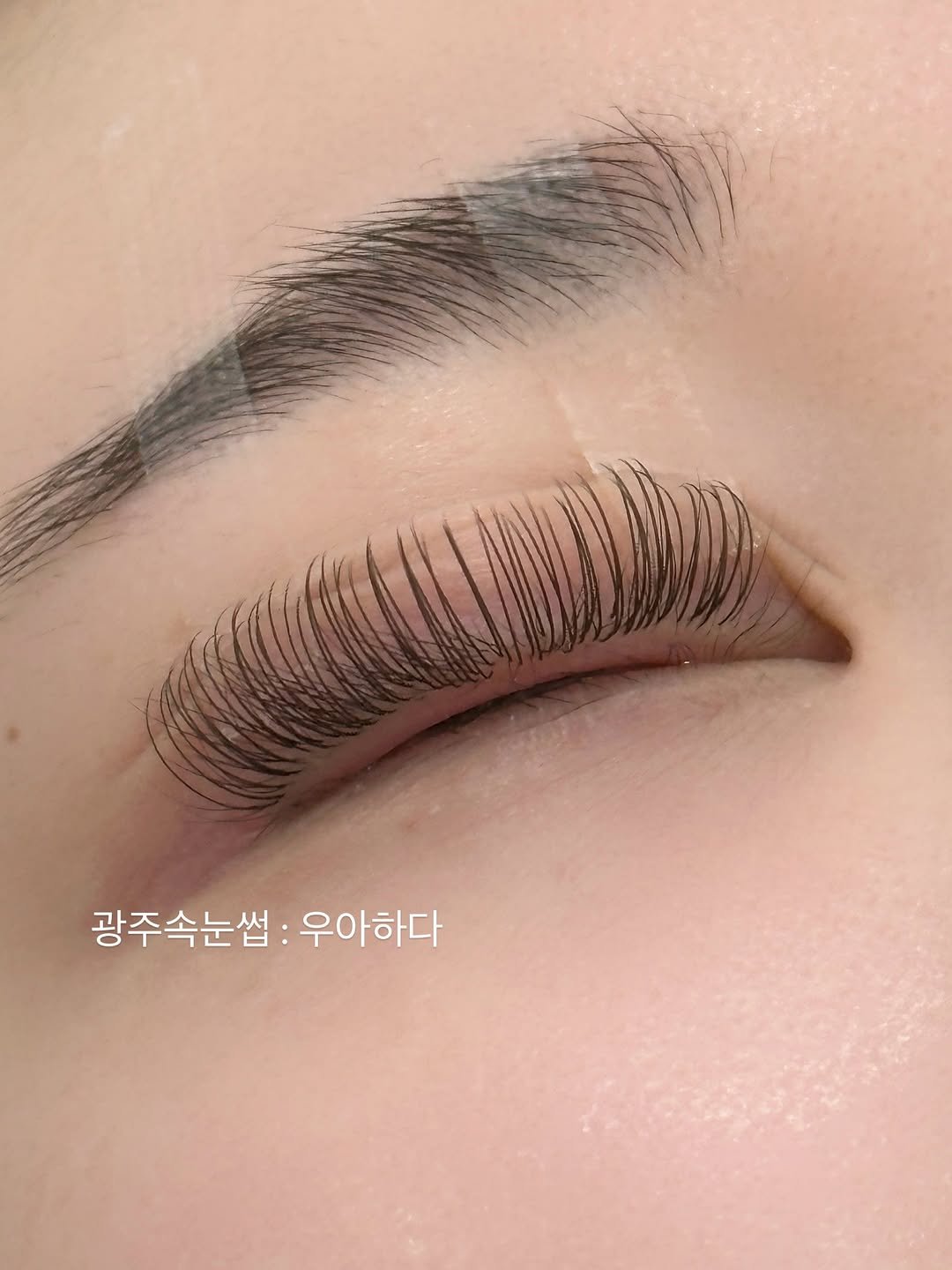 Photo shared by 속눈썹수강 속눈썹연장수강 광주속눈썹 디자인연장수강 광주속눈썹수강 우아하다 원장 on March 12, 2026 tagging @lash_plus_kr. May be an image of text that says '광주속눈썹: 광주속눈썹:우아하다 우아하다'.