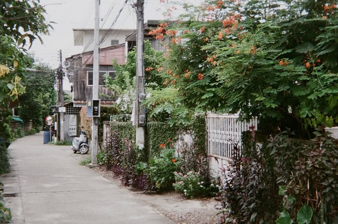 567 게시물 이미지: 2025/07 清邁