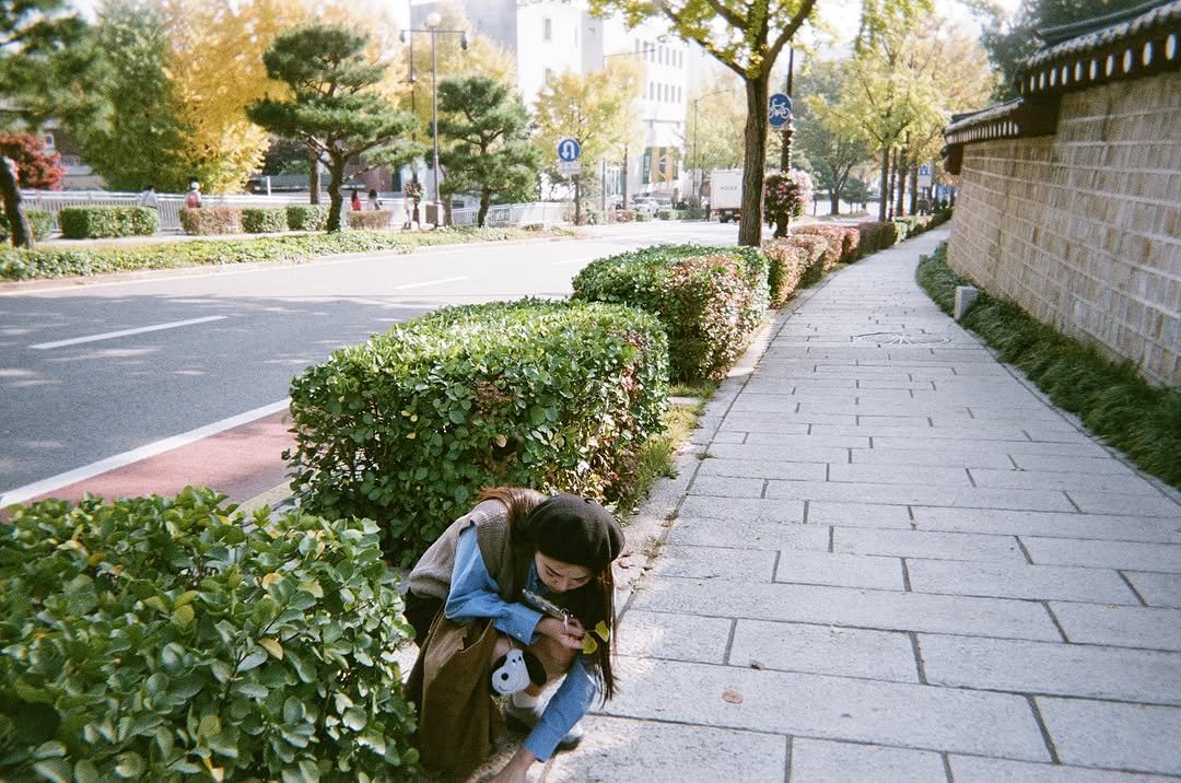 567 게시물 이미지: 2025/11 🍂 💛