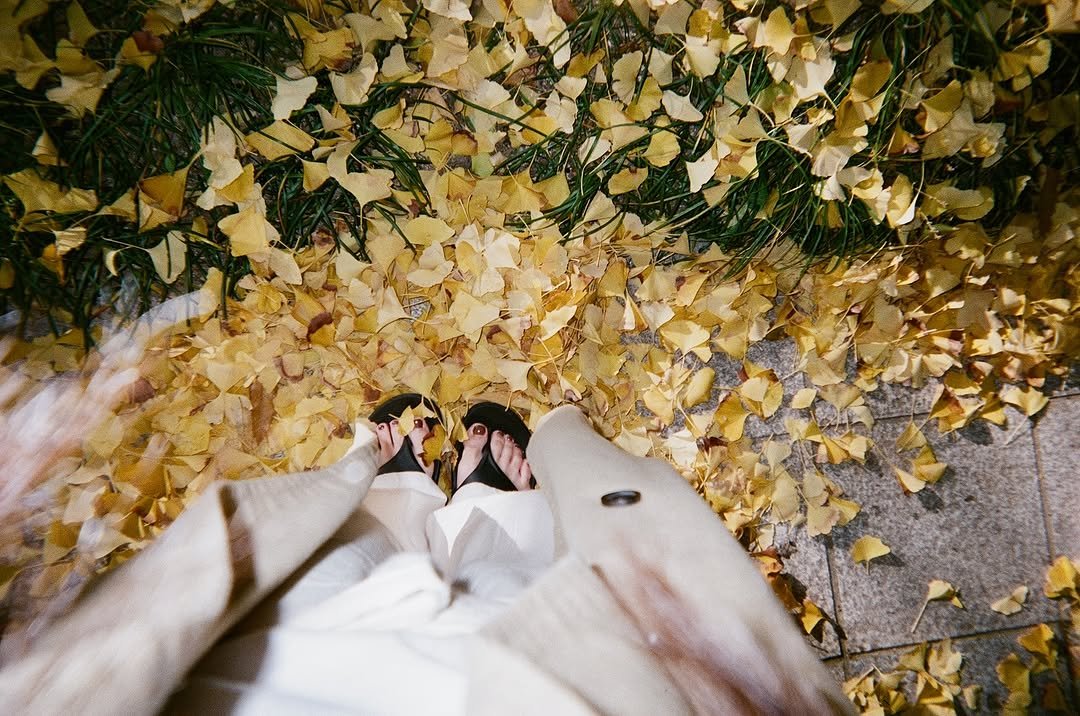 567 게시물 이미지: 2025/11 🍂 내가 한국에 온 이유