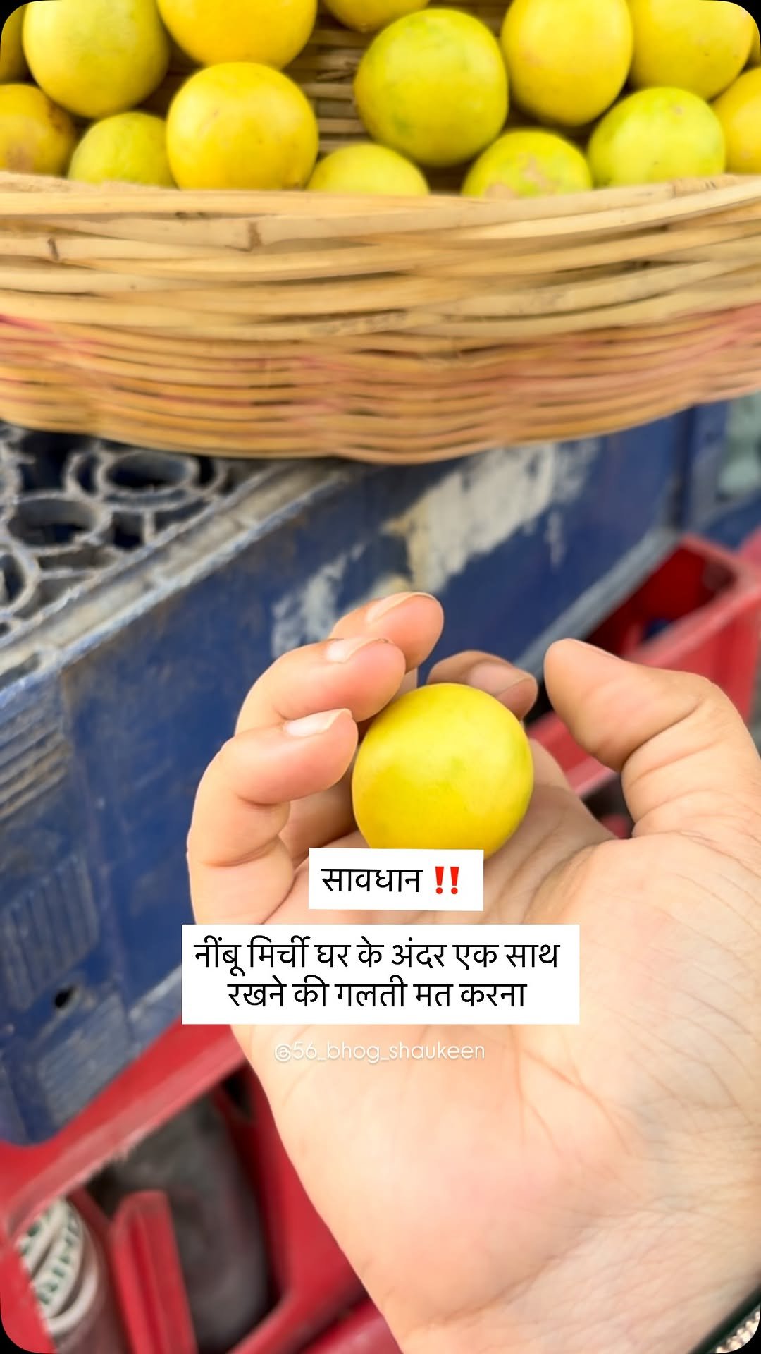 56_bhog_shaukeen 게시물 이미지: नींबू मिर्ची घर के अंदर एक साथ रखने की गलती मत...