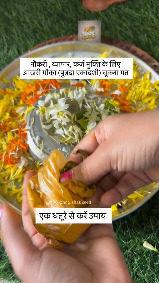 56_bhog_shaukeen 게시물 이미지: एक धतूरे से एकादशी पर करे ये उपाय...