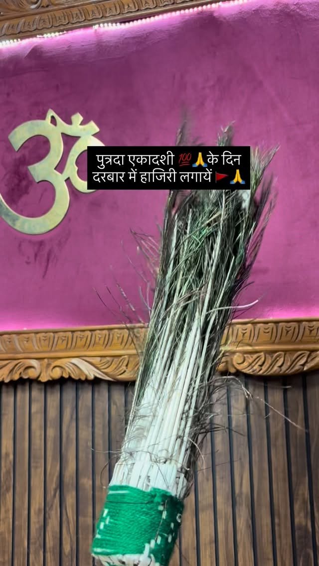 56_bhog_shaukeen 게시물 이미지: पुत्रदा एकादशी के दिन दरबार में हाजिरी लगाना...