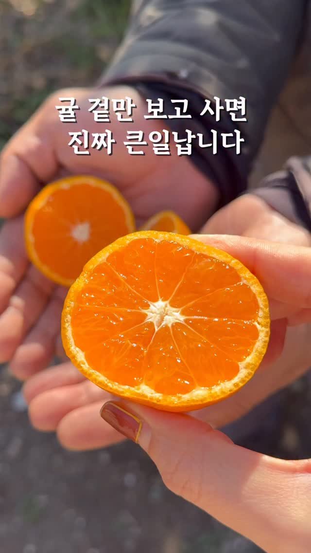 5bok_house 게시물 이미지: 오픈했습니다❤️‍🔥 건강한 귤도 먹고 기부하는 수익금의 100%를 기부하는 공동구매...