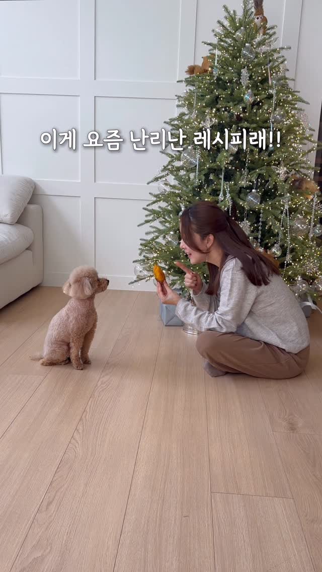 5bok_house 게시물 이미지: 고구마 너무 맛이없어…못먹겠다 싶었는데 
요즘 난리난 레시피
설마??하면서...