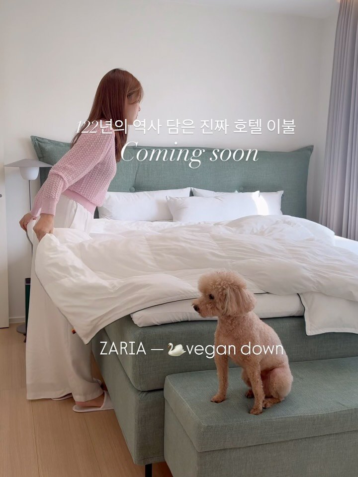 5bok_house 게시물 이미지: 반년을 설득해서라도 꼭 데려오고 싶었던 이유
이불은 매일 덮는 거니까. 
건강한...