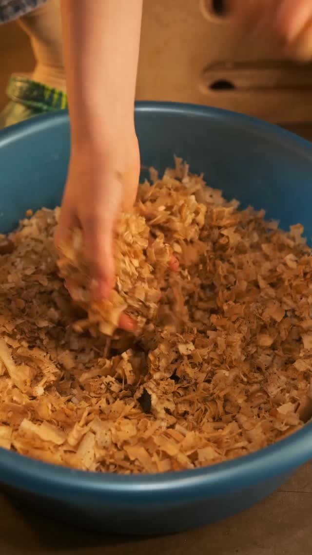 5minute.recipes.official 게시물 이미지: Fresh, organic mushrooms without leaving your...