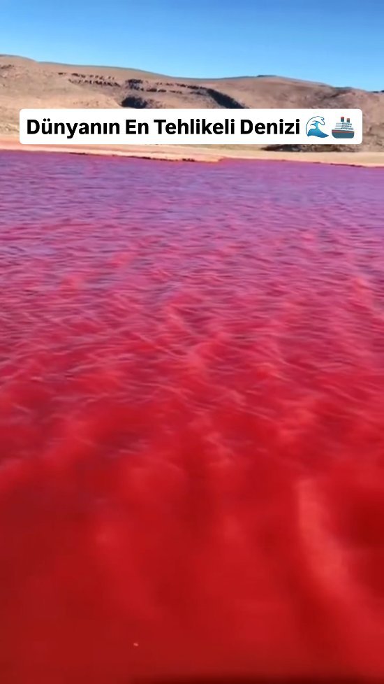 60saniyedebilimm 게시물 이미지: 🌊Dünyanın en tehlikeli denizlerinden biri olan...
