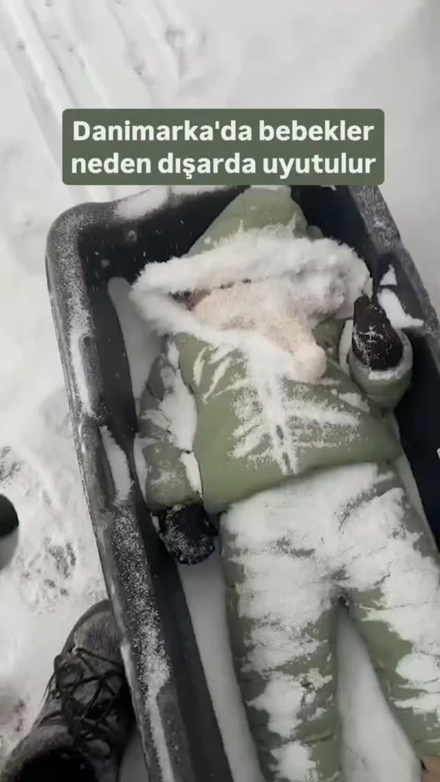 60saniyedebilimm 게시물 이미지: Danimarka'da ve genel olarak İskandinav...