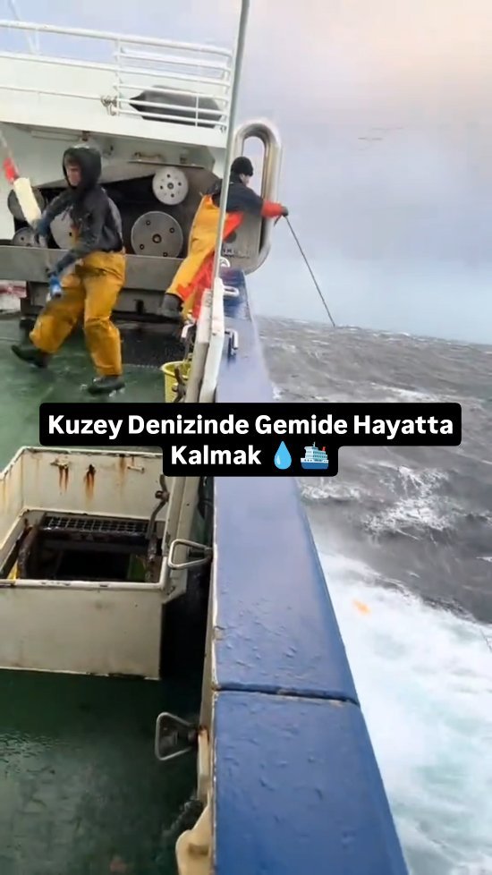 60saniyedebilimm 게시물 이미지: Herkes Gemi Sallanırken İçerde Nasıl...