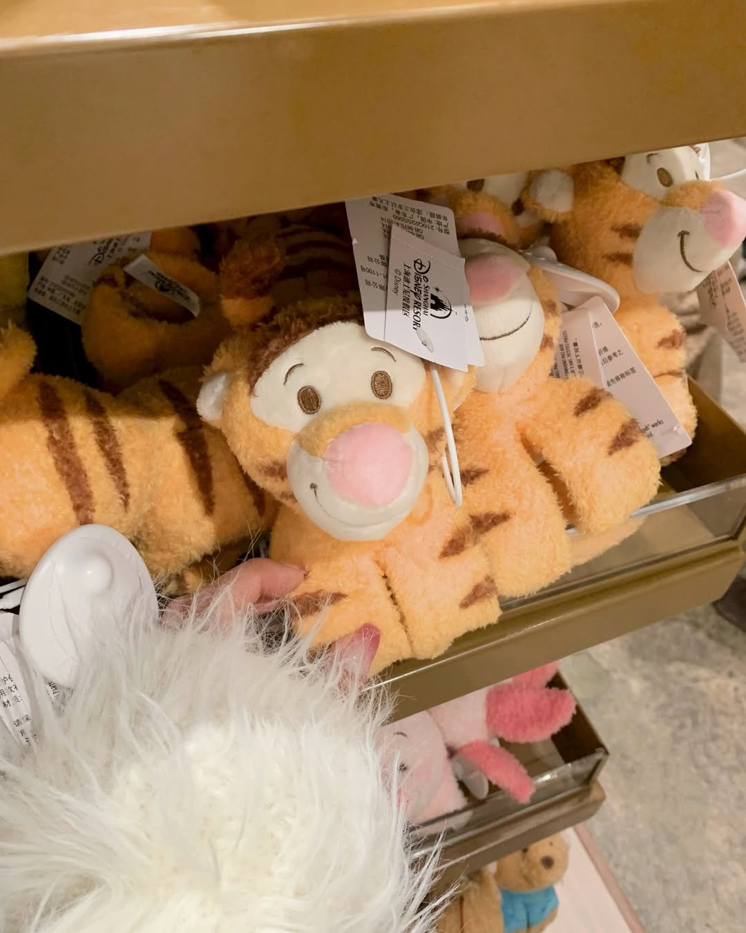 Photo by 나히 on February 03, 2026. May be an image of toy and text.