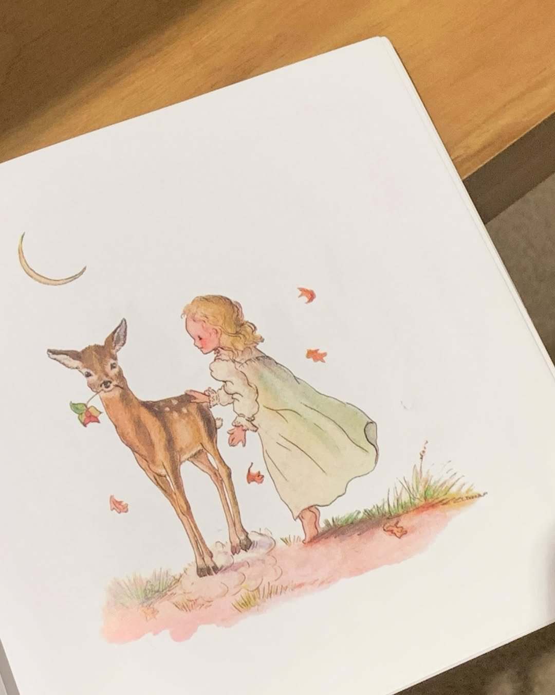 Photo by 나히 on February 08, 2026. May be an illustration of deer, card and text.