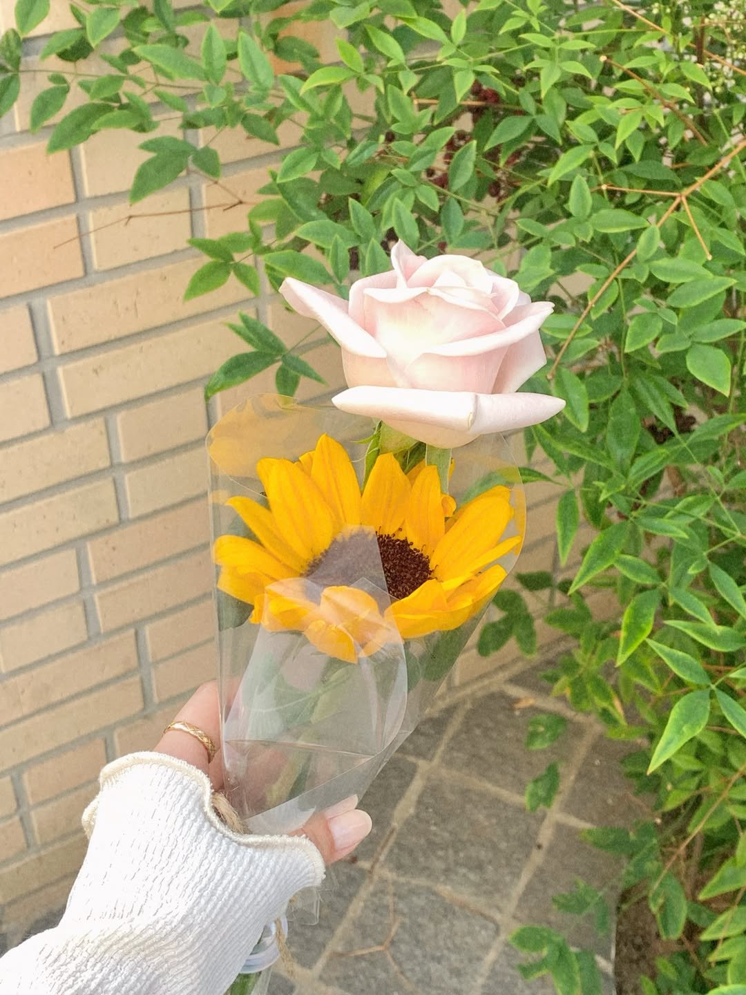 610_nana 게시물 이미지: 🌱