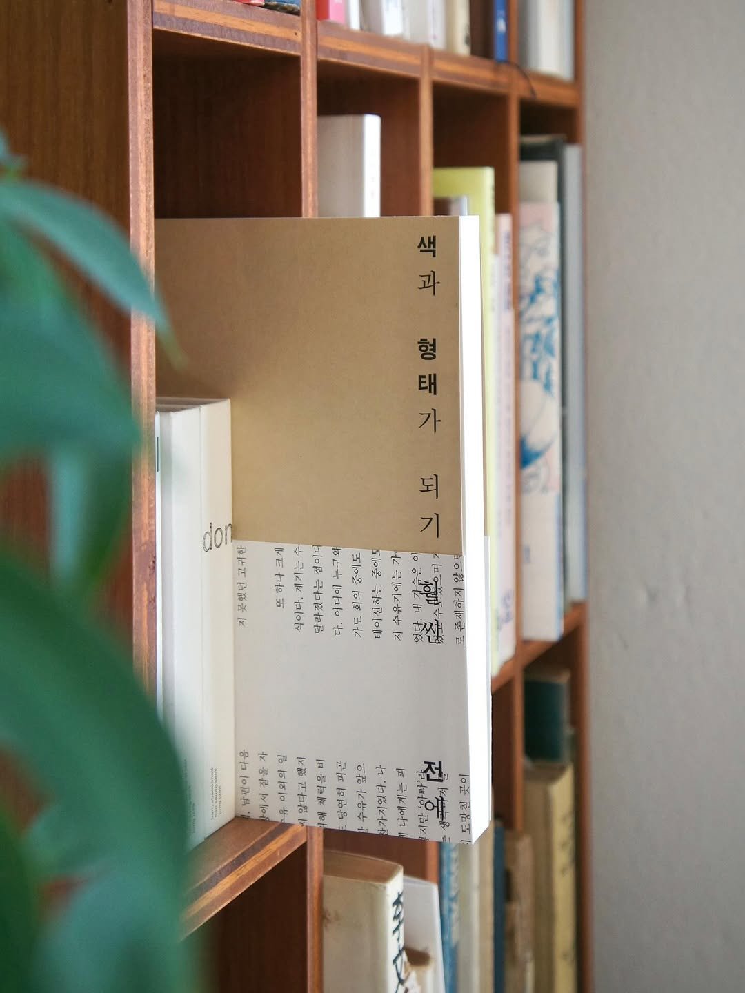 Photo shared by 6699press on November 13, 2025 tagging @sulkichoi, @rikako.nagashima, and @kotobadesign. May be an image of book, shelf and text.