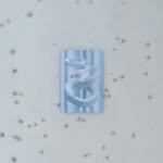 reumleee 프로필 사진