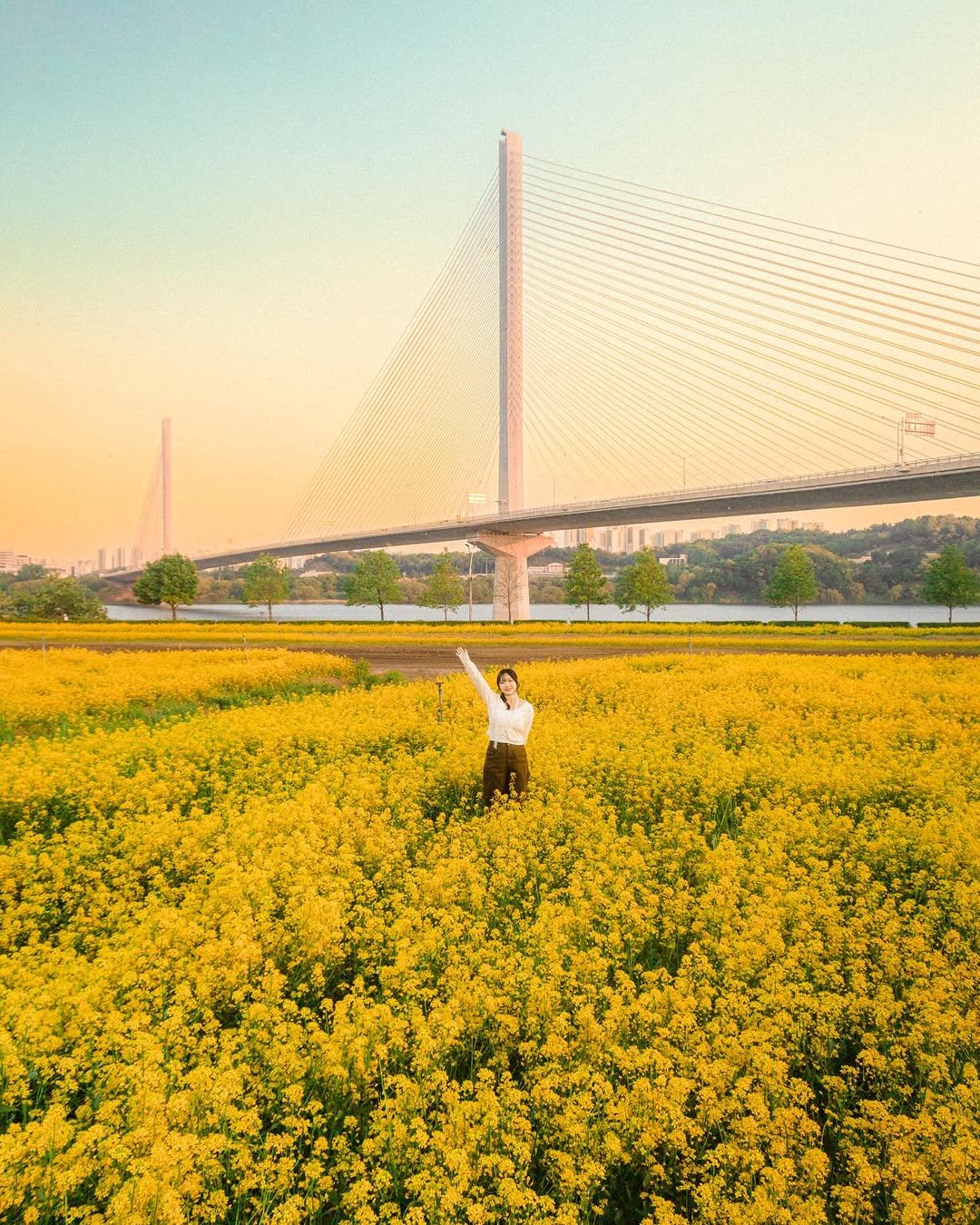 6_phot 게시물 이미지: 서울 10분컷 대왕 유채꽃밭🌼

이렇게까지 유채꽃이 넓게 깔려있다고..? 싶은...