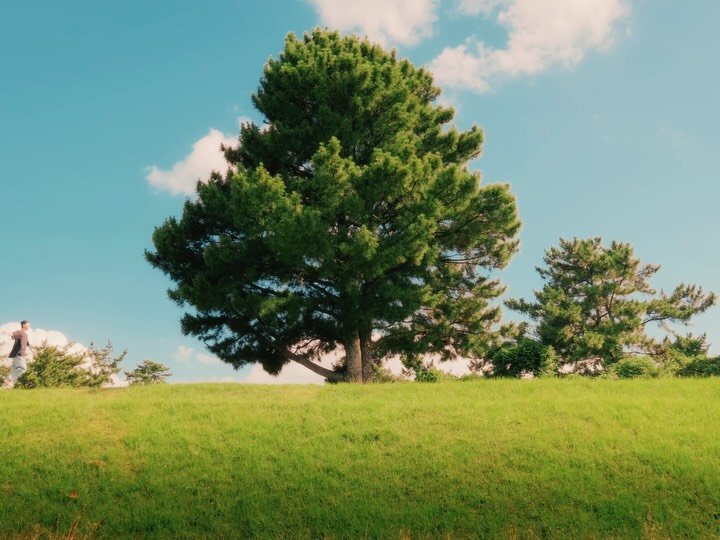 6_phot 게시물 이미지: 우리의 여름은🌳
.
우리의 여름을 더 빛나게 만들어준 곳✨

구름이 예쁜 날 꼭...