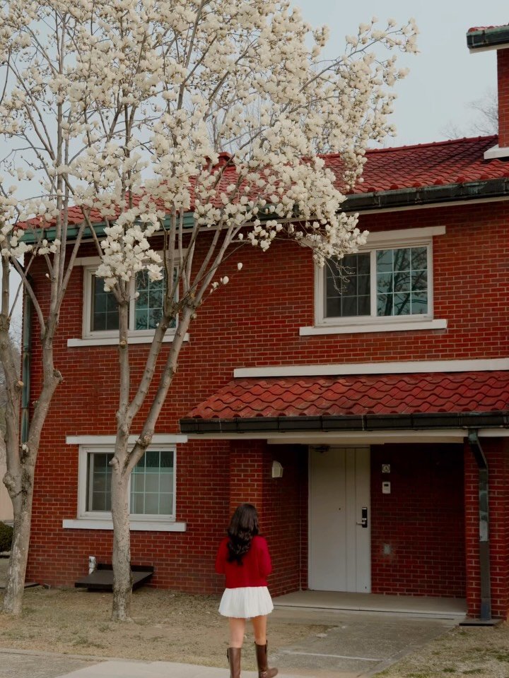 6_phot 게시물 이미지: (실시간) 이번 주말 서울 목련은 여기‼️
.
여러분!! 집주웅!!

이번 주말...