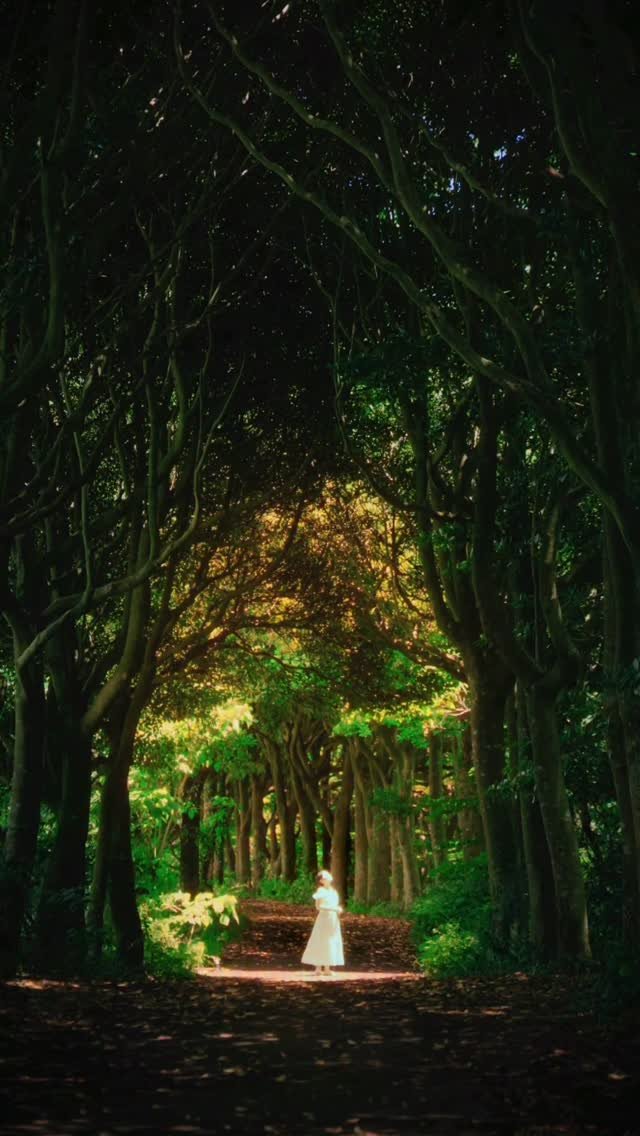 6_phot 게시물 이미지: 내가 상상했던 제주🌳✨
.
여러분이 상상하는 제주는 어떤 모습인가요?

제가...