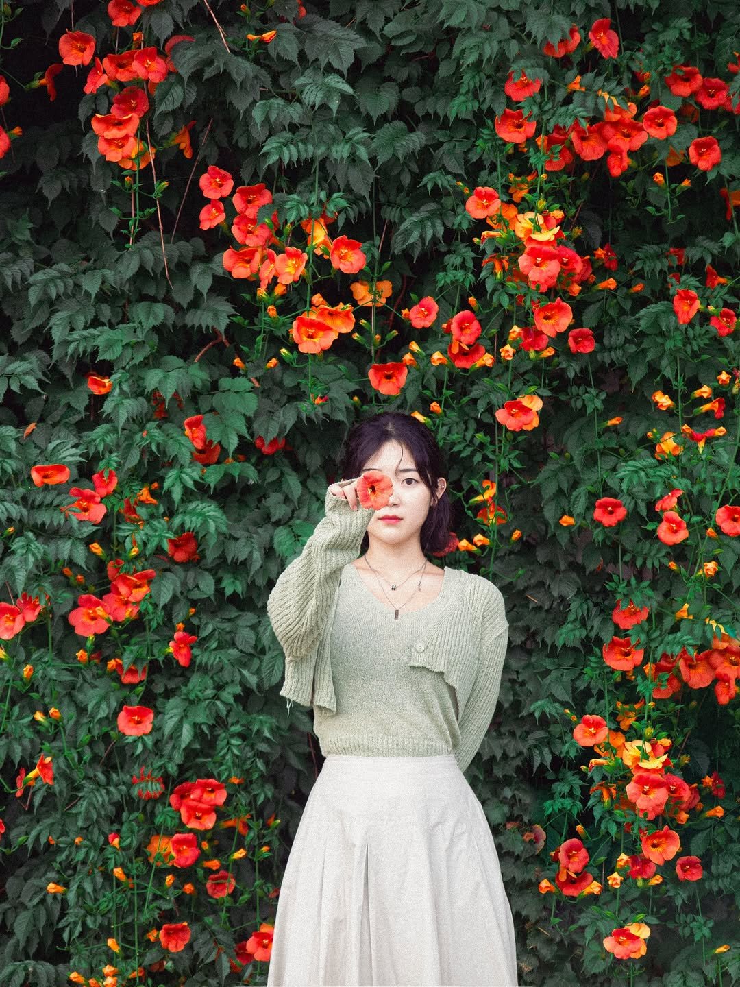 6_phot 게시물 이미지: 여름이라고? 능소화 출근 시작🧡
.
여름을 알리는 꽃이 왔어요!!

서울 한복판에서...