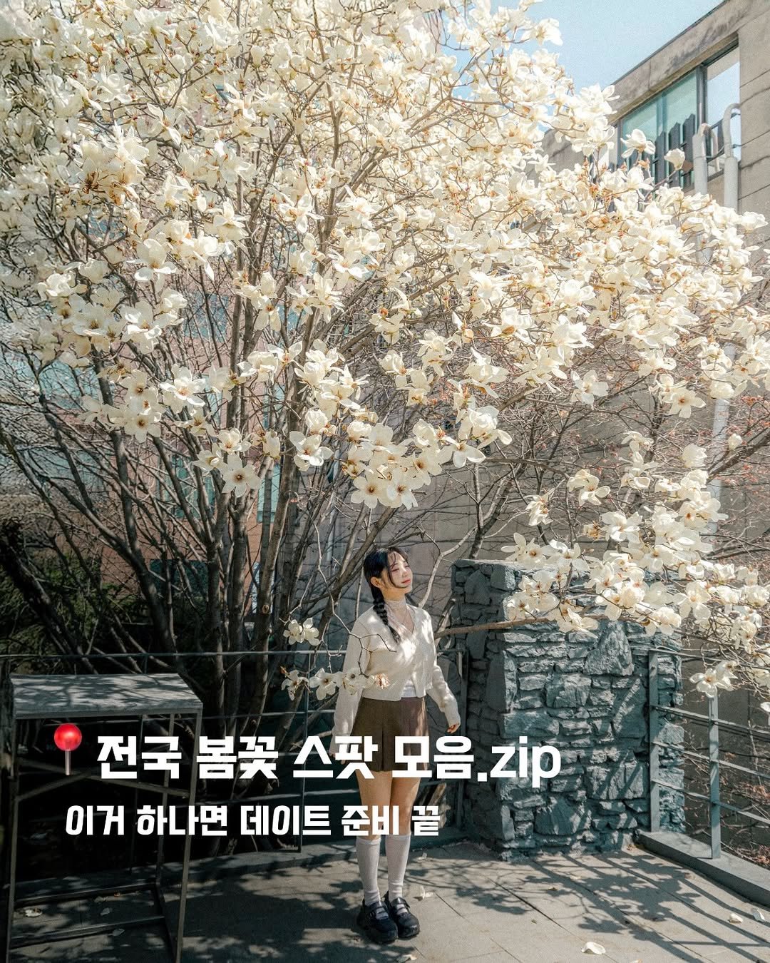 Photo by 식스팟ㅣ여행 사진가 on March 13, 2026. May be an image of baby's-breath and text that says 'ပရနရ 전국 봄꽃 스팟 모음, 전국봄꽃스팟모음.zip 모음.zip zip 이거 하나면 데이트 준비 끝'.