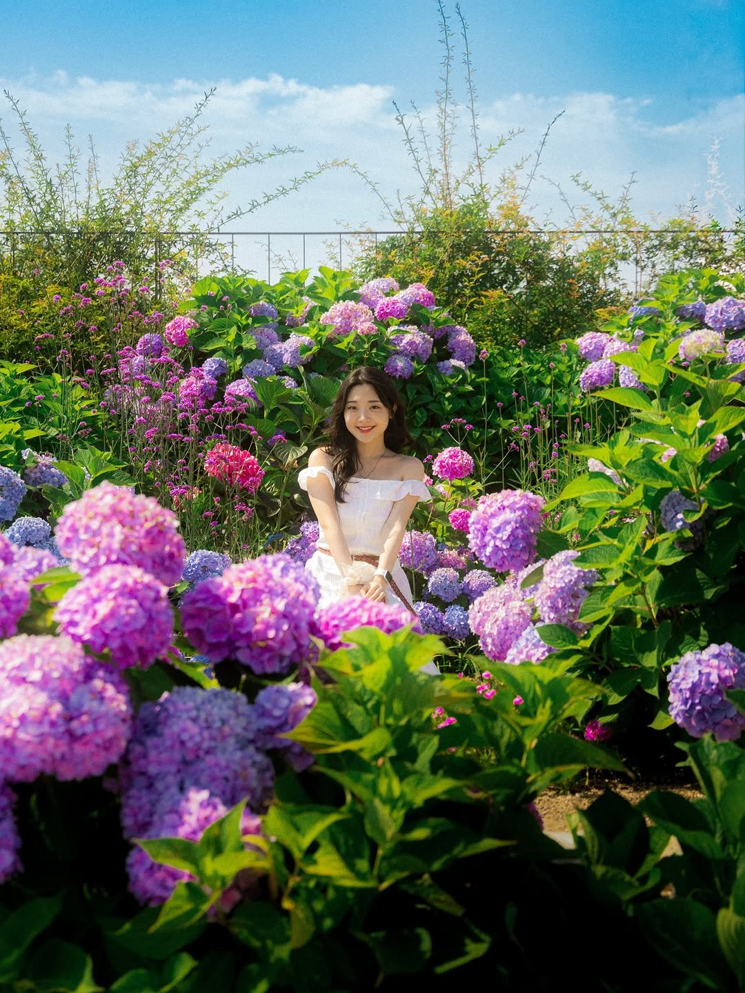 6_phot 게시물 이미지: 이번 주 수국 구경은 여기🐬🪷
.
울산에 위치한 ’장생포 고래문화마을‘을...