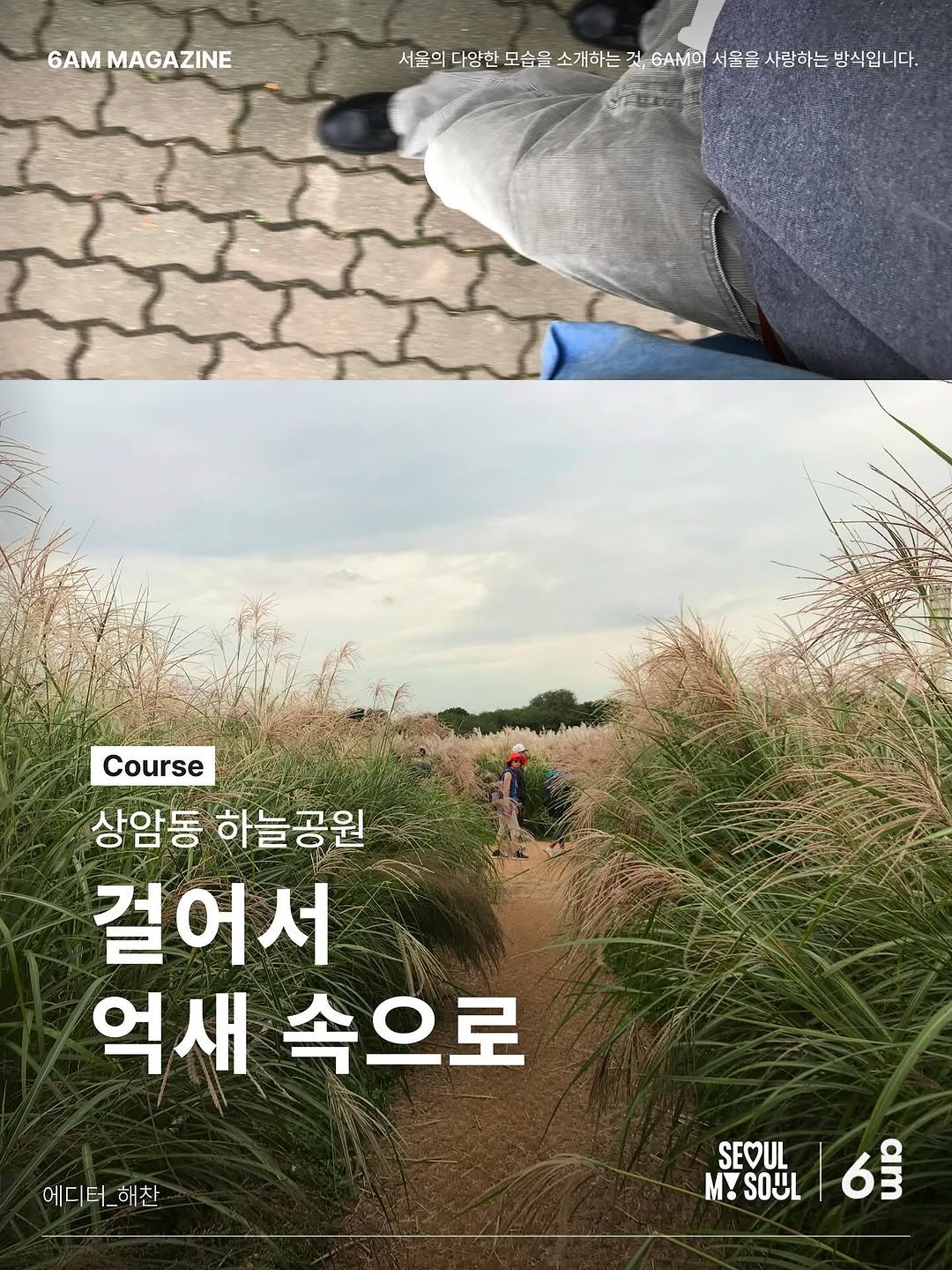 Photo shared by 6AM : 우리가 서울을 사랑하는 방식 on October 25, 2025 tagging @seoul_official, and @imgocks. May be an image of grass and text.