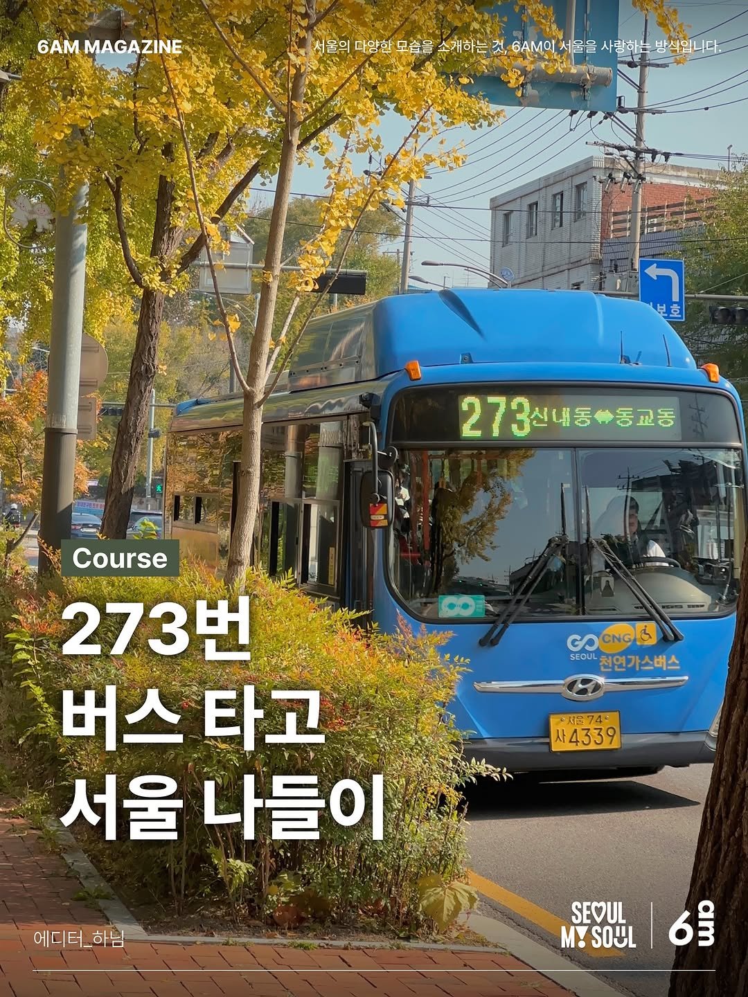 Photo shared by 6AM : 우리가 서울을 사랑하는 방식 on November 08, 2025 tagging @seoul_official, and @m1nah_o_o. May be an image of trolley, bus, poster and text that says '6AM MAGAZINE 서울의 다양한 모습을 소개하는 것, 6ΑM 서울을 사랑하는 사랑하는방식입니다 방식입니다. バ 보호 273 273신내동#동교동 신내동 Course វន 273번 버스타고 버스 타고 서울 나들이 GO GOCNOB CNGB SEOUL 천연가스버스 ·서문74 4339 에디터_하님 SEOUL M! SOUL 6D 6'.