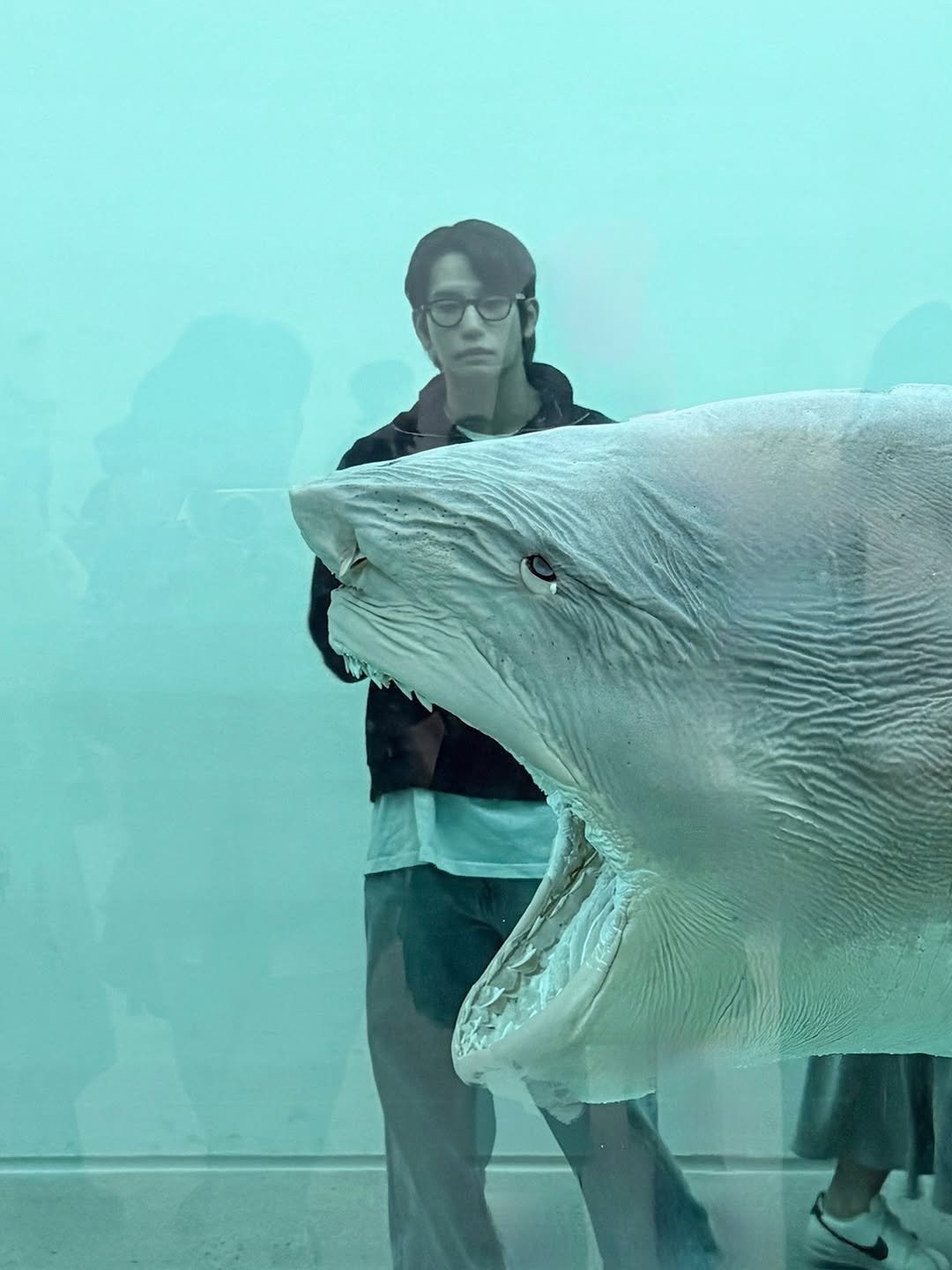 Photo by 육준서 on April 03, 2026. May be an image of shark and text.