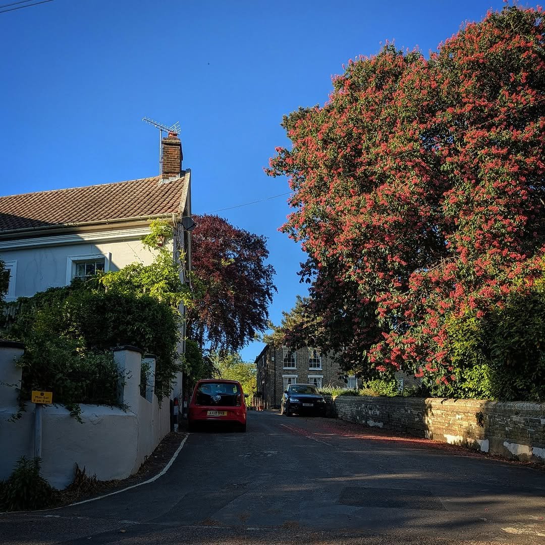794 게시물 이미지: Shady corner of St John's Hill.