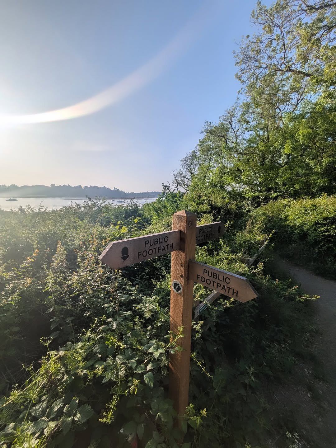 Three way finger post in bushes next to the River Deben.