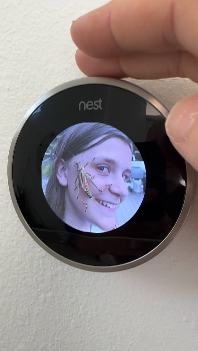 796 게시물 이미지: Our deprecated Nest thermostat is alive and...