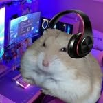 heyo.indeyo 프로필 사진