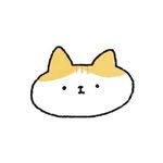 donachodiary 프로필 사진