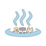 3.4_official 프로필 사진