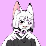 tippi.owo 프로필 사진