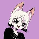 tipi.owo 프로필 사진