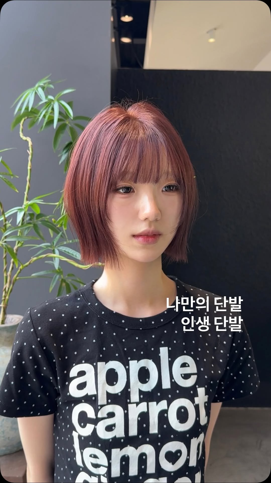 81.6j_ 게시물 이미지: 태슬컷과 태슬펌 그리고 퍼스널 염색까지,🩶

무작정 자르는 것이 아닌
고객님의...