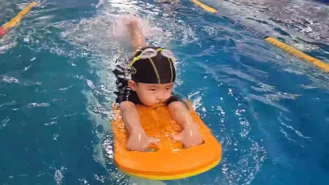 88bbong 게시물 이미지: 니가 나보다 열심히 사는것 같다..