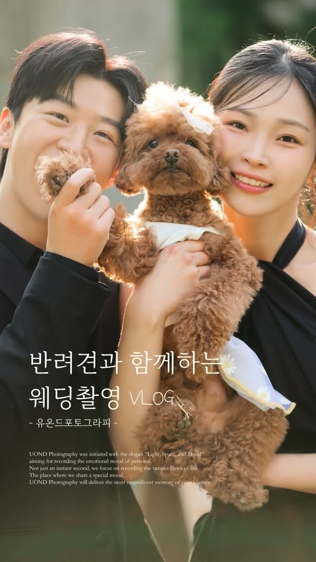 8mk8 게시물 이미지: 𝗜 반려견 루와 함께한 웨딩촬영 VLOG!
⠀
*반려견 동반 촬영시 미리 스튜디오로...