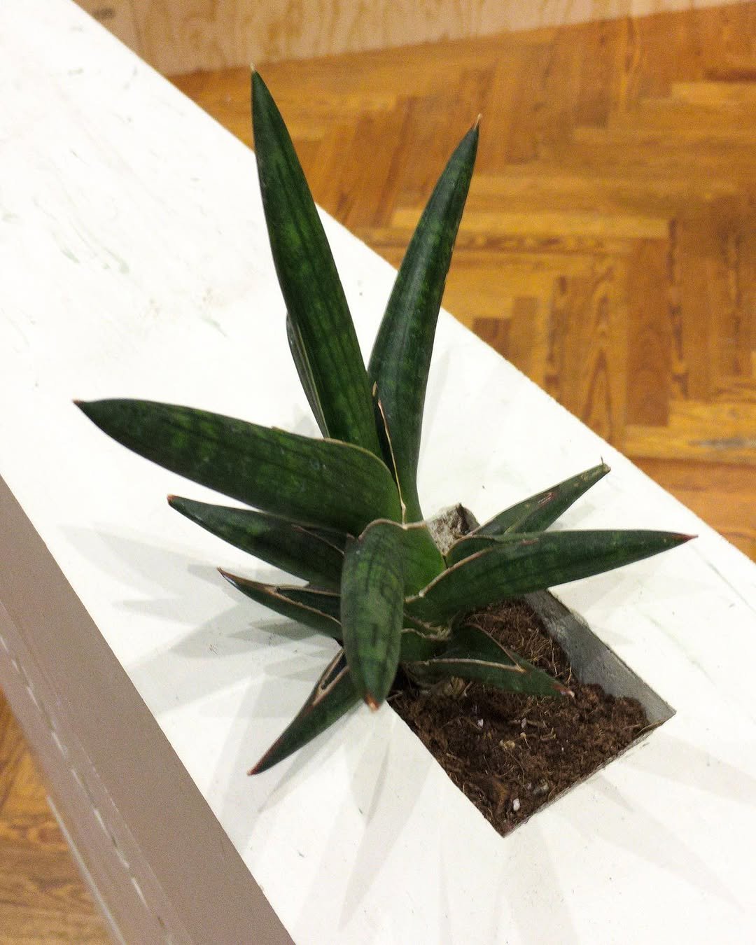 922 게시물 이미지: #lakecomodesignfair
