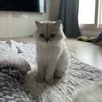 94sjsm 인스타그램 프로필 사진