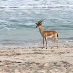 shim015 프로필 사진