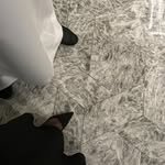 as_x_11 프로필 사진