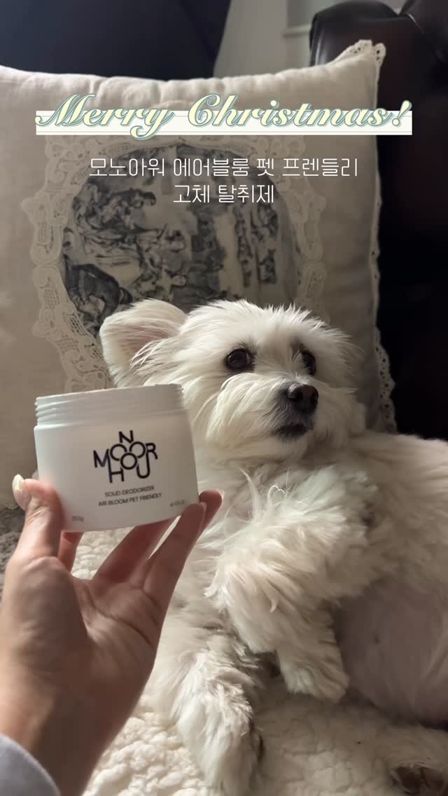 97crystalkiki 게시물 이미지: #협찬 | @monohour.official ʕ •ᴥ•ʔ

반려견•묘가 있다면 함께...