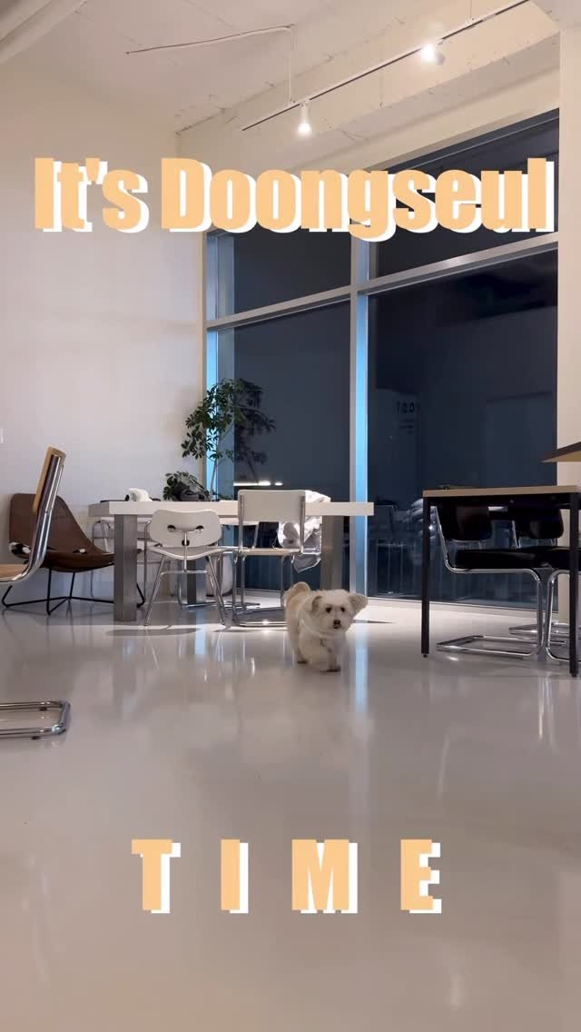 97crystalkiki 게시물 이미지: #협찬

댕댕이 집사님들 주목! 
이번 설날 우리 아이 인생샷 치트키 등장 !...