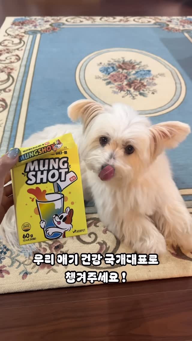 97crystalkiki 게시물 이미지: #협찬

평소 둥슬이가 음수량도 적고 입맛이 까다로운 가나지라 걱정이 한가득...